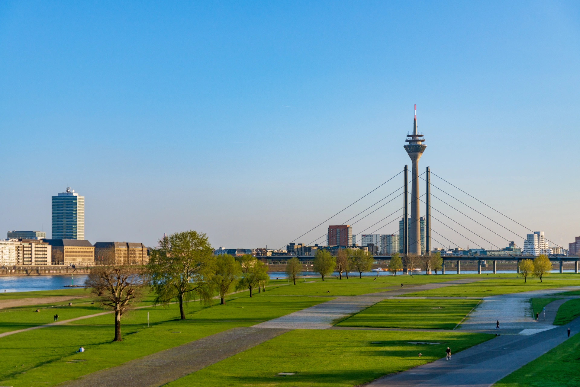 kiener-immobilien-rheinwiesen-duesseldorf-rheinturm Kiener Immobilien – Panoramablick auf Düsseldorf mit Rheinturm und Rheinwiesen.